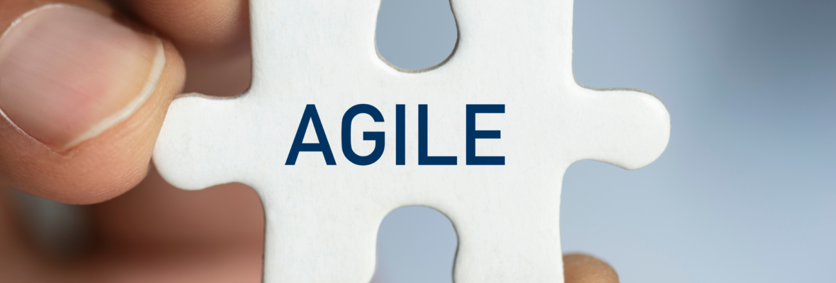 agile leadership